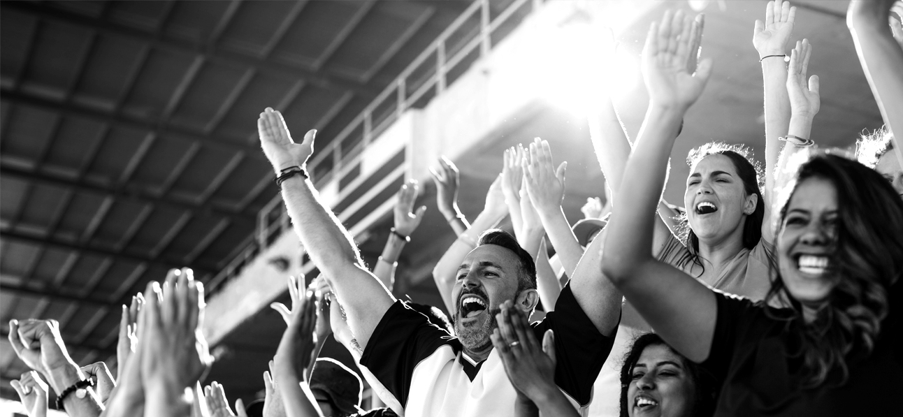 A stadium crowd cheering